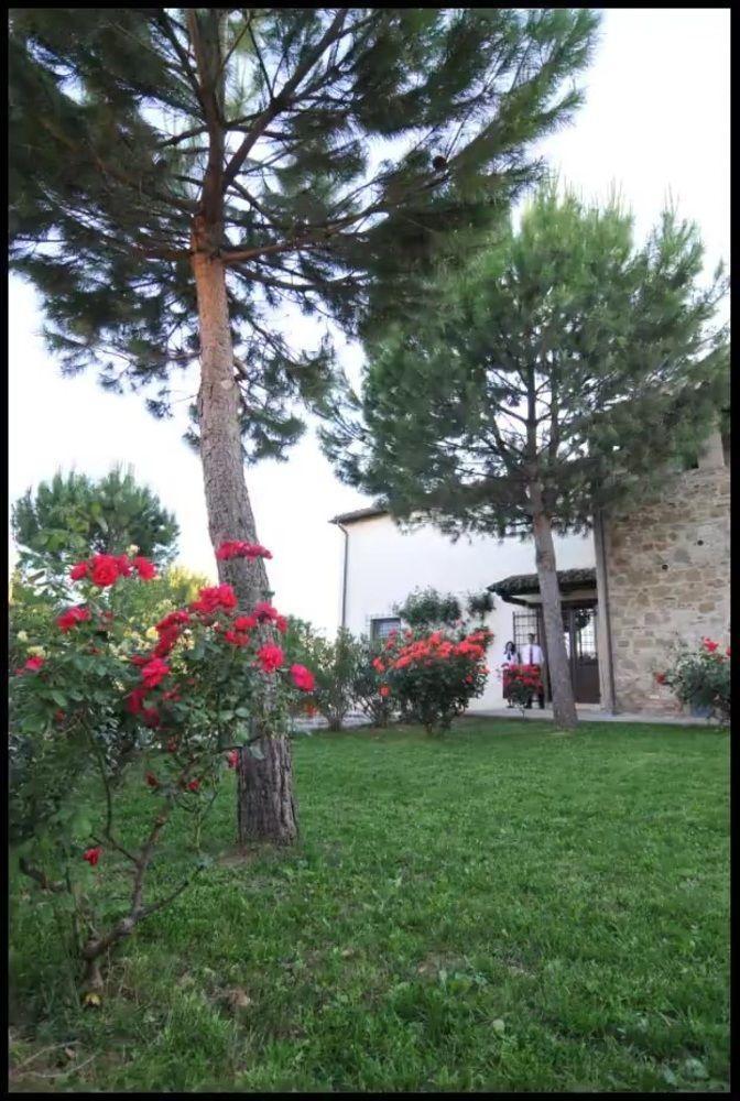 Agriturismo La Ginestrella Civitella D'Arna エクステリア 写真