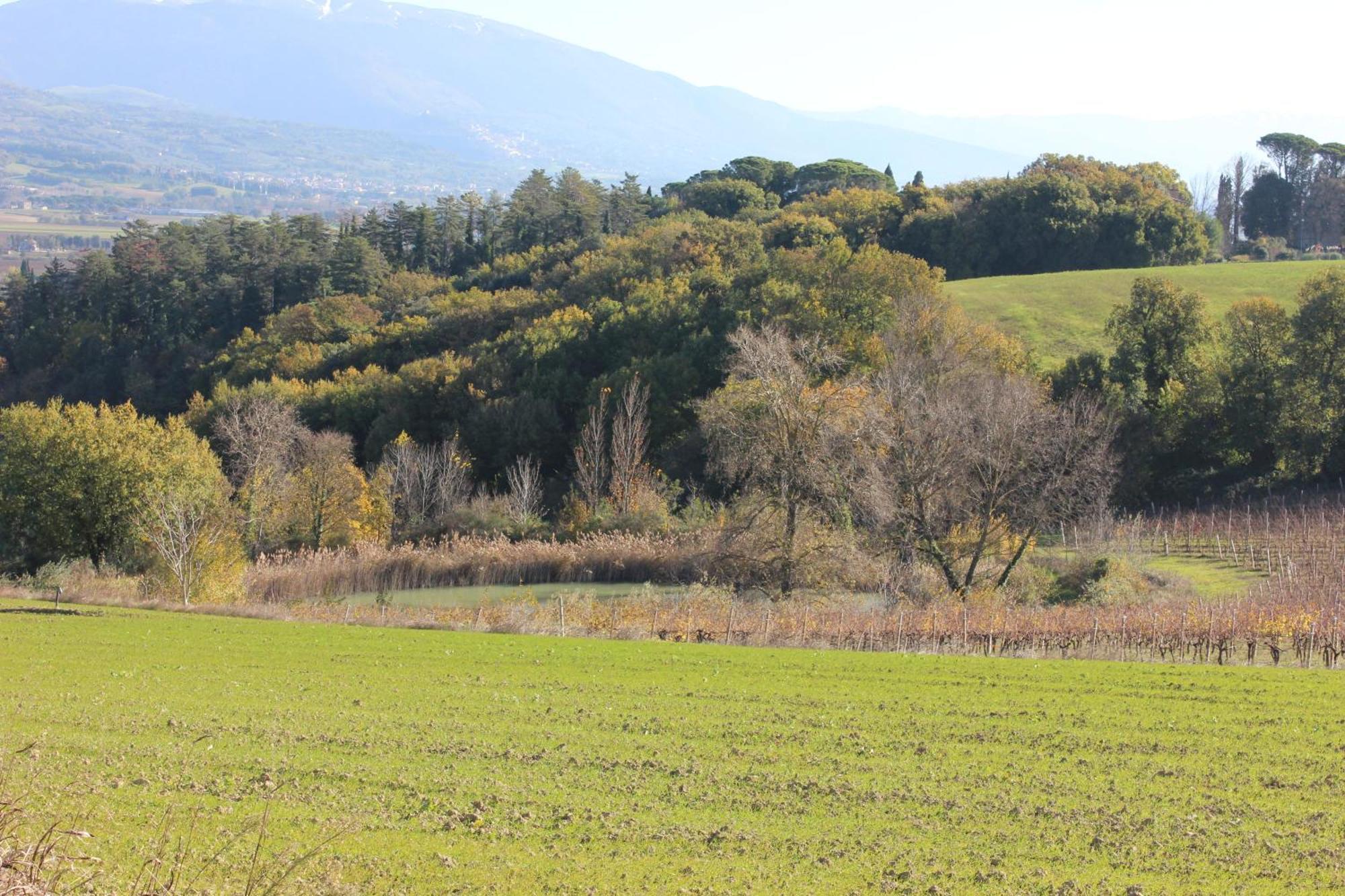 Agriturismo La Ginestrella Civitella D'Arna エクステリア 写真