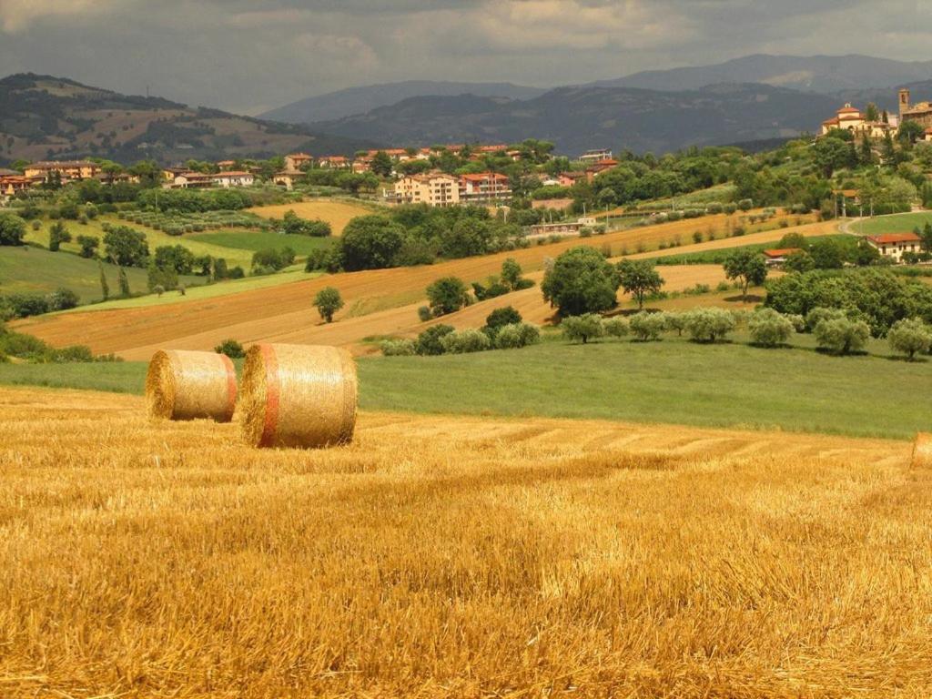 Agriturismo La Ginestrella Civitella D'Arna エクステリア 写真