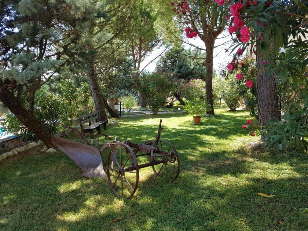 Agriturismo La Ginestrella Civitella D'Arna エクステリア 写真