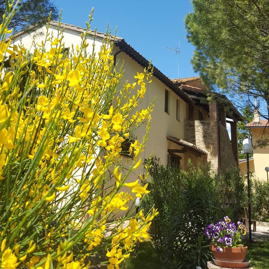 Agriturismo La Ginestrella Civitella D'Arna エクステリア 写真